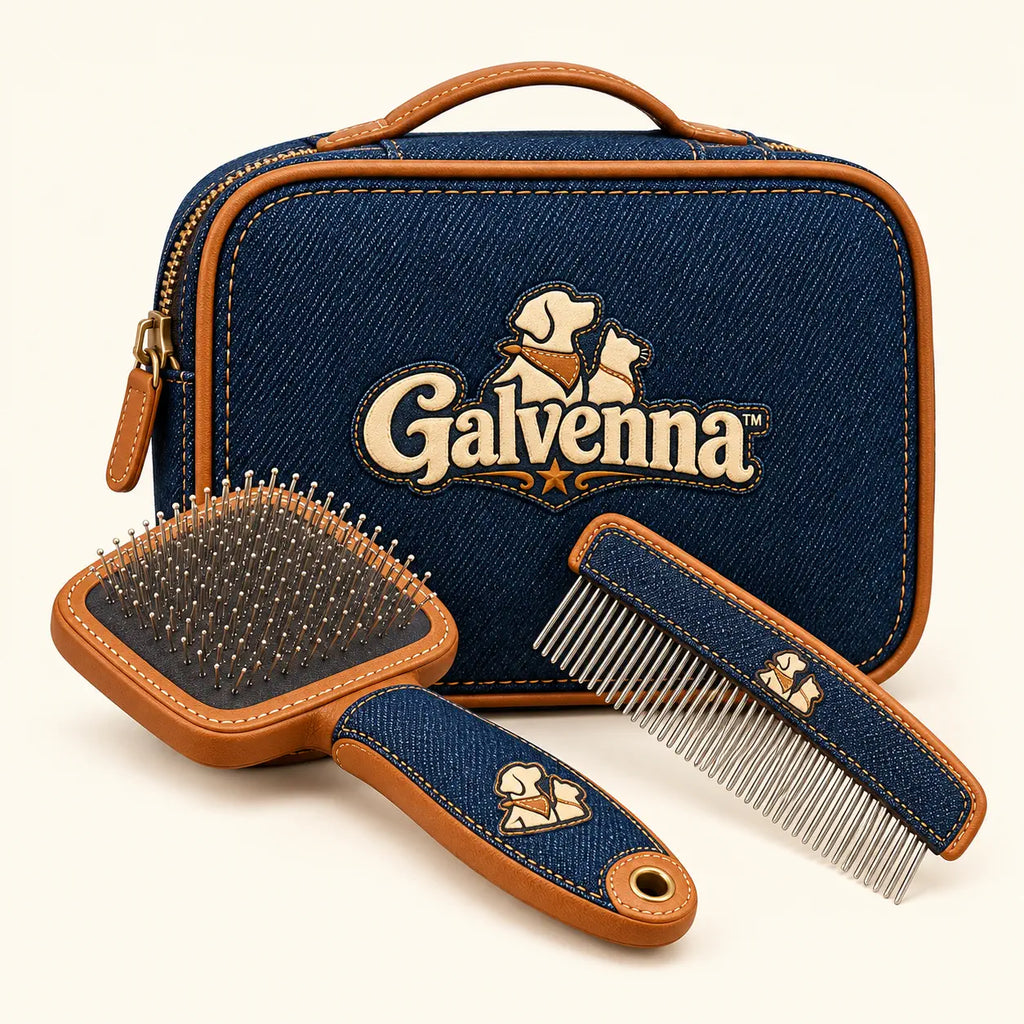 Galvenna™ Denim Star Dog Collar